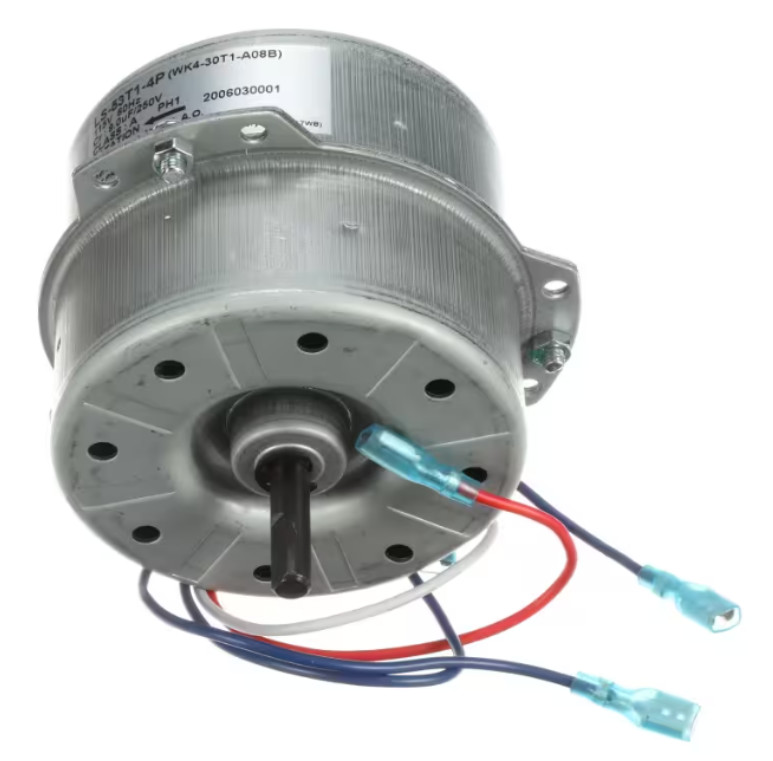 Delonghi LS-53T1-4P, WK4-30T1-A08B, 2006030001, Motor 115V 60Hz Class A
