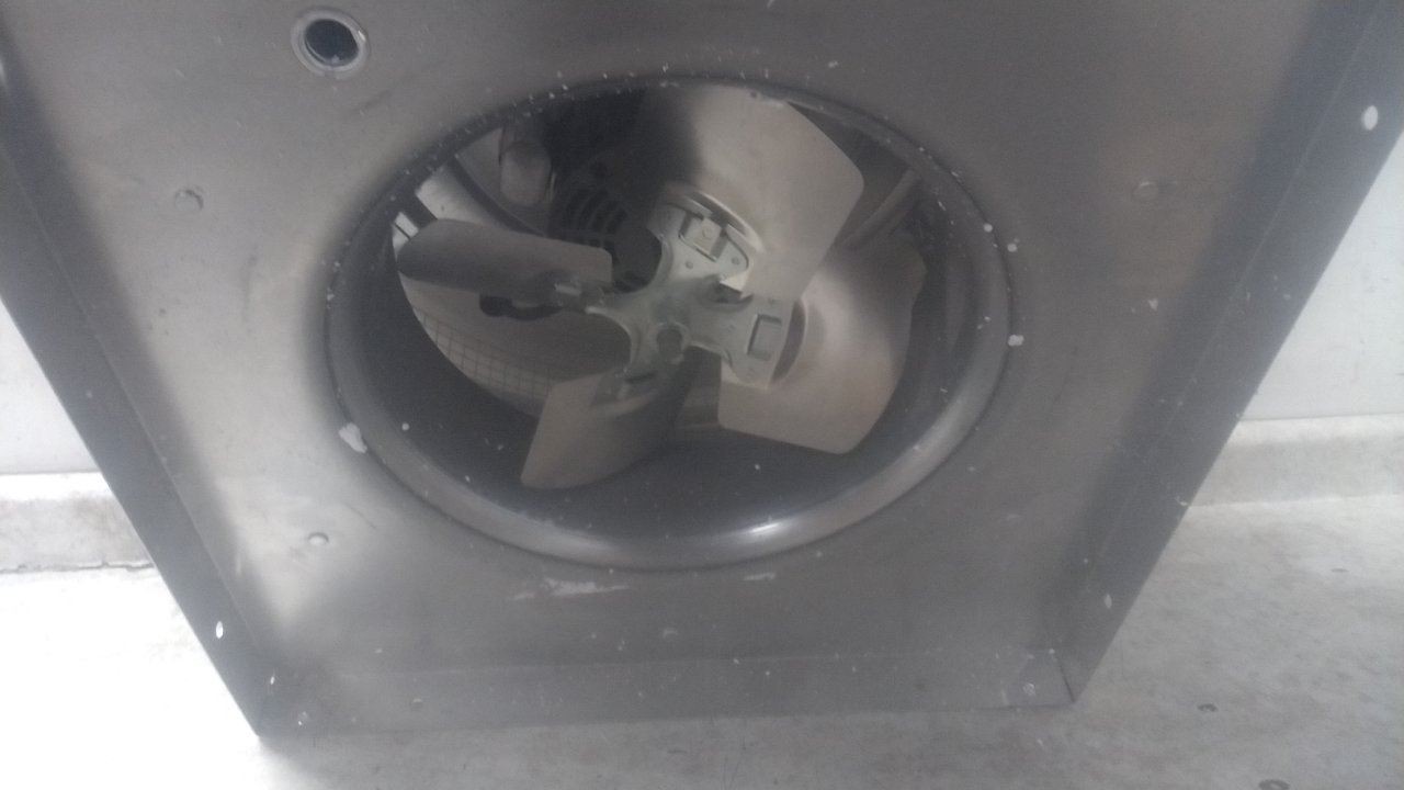 Dayton 4YC88G 12 In Blade Diameter 1/4 HP 115V Axial Downblast Roof Exhaust Fan