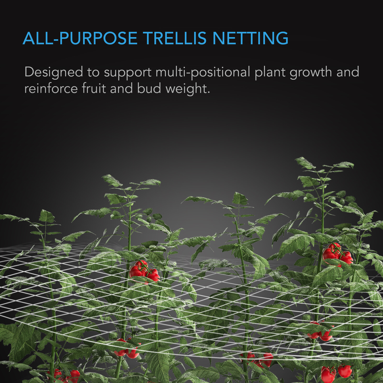 Polyester Plant Trellis Netting 5×30′ Flexible Heavy-Duty Grow Net for Gardening