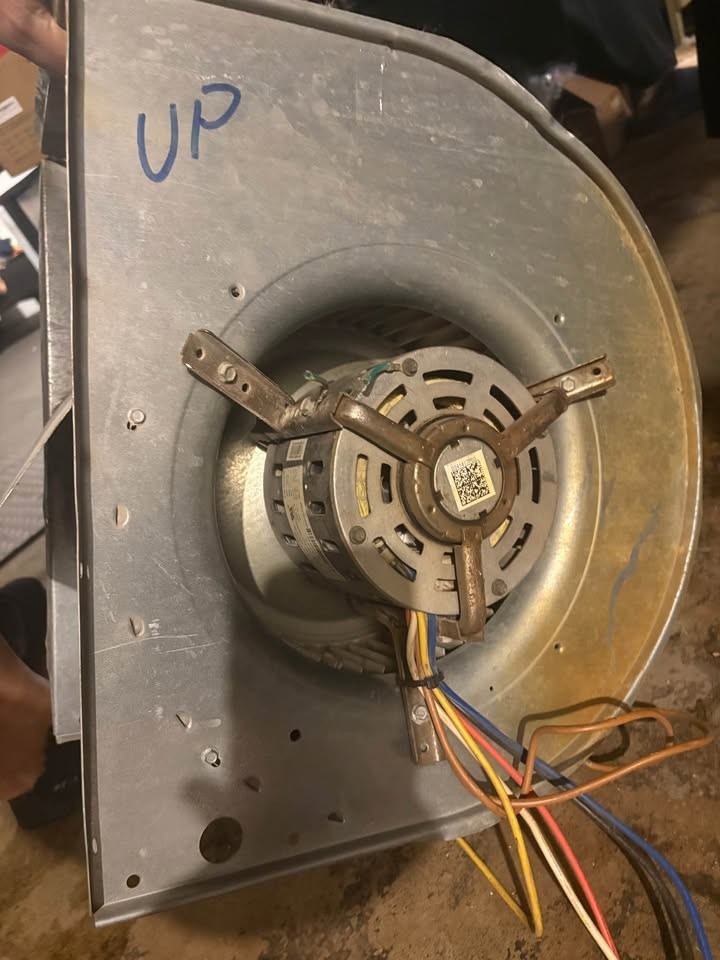 Trane furnace blower motor and fan