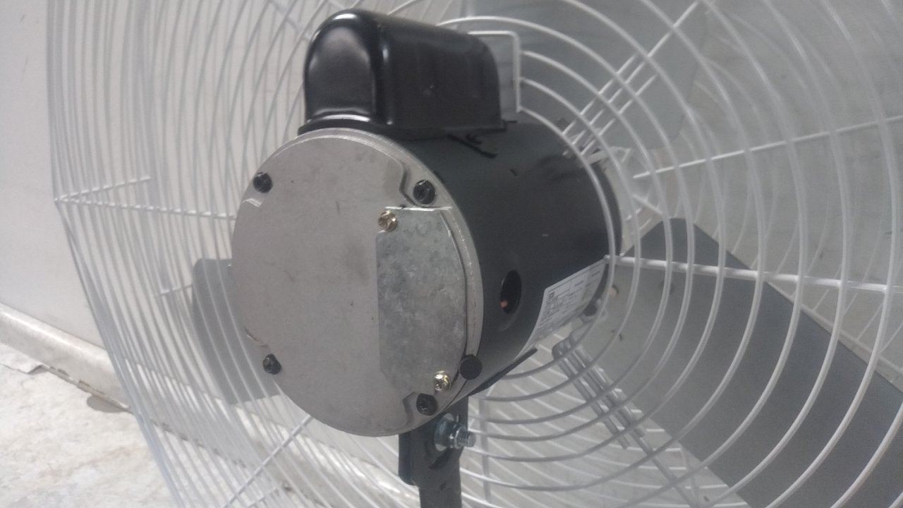 Dayton 484X59 1/2 HP 825 RPM 115VAC 36 In Blade Dia Guard-Mounted Exhaust Fan