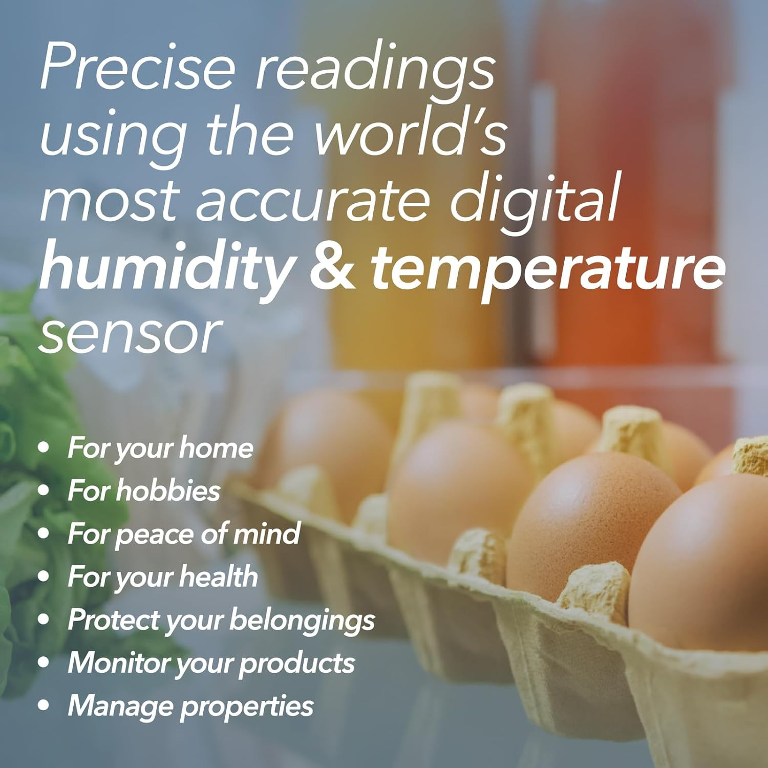 HT1 Smart Temperature Sensor & Humidity Sensor – Thermometer & Hygrometer W/App