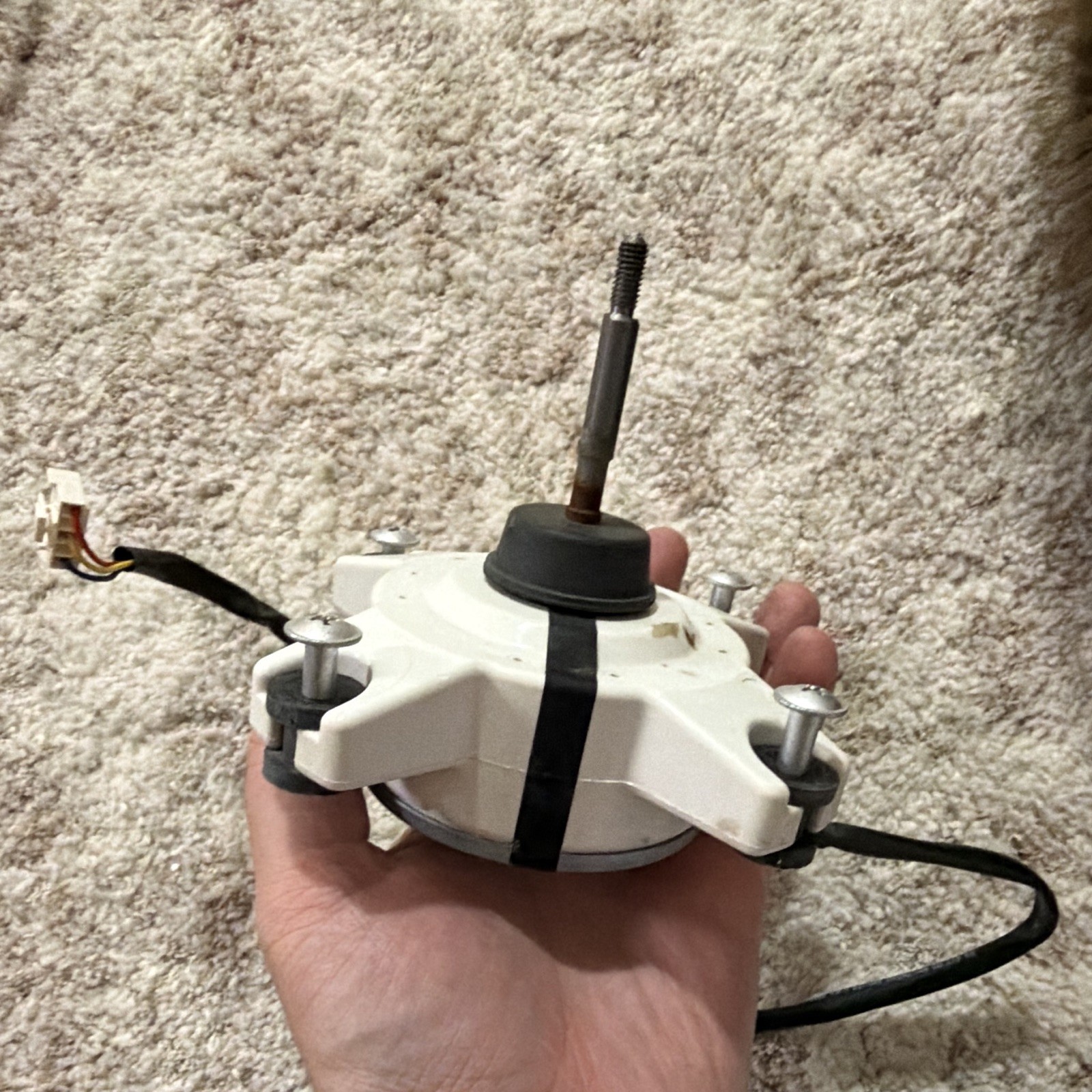 GUANGDONG WILLING Brushless DC Motor ZKFN-25-10-SL-5 25V 0.12A IP24
