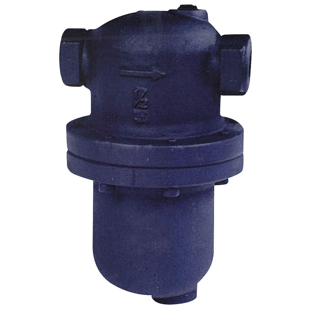 ARMSTRONG INTERNATIONAL DS-1-100 Steam Separator,1 In,300 psi 36Y308