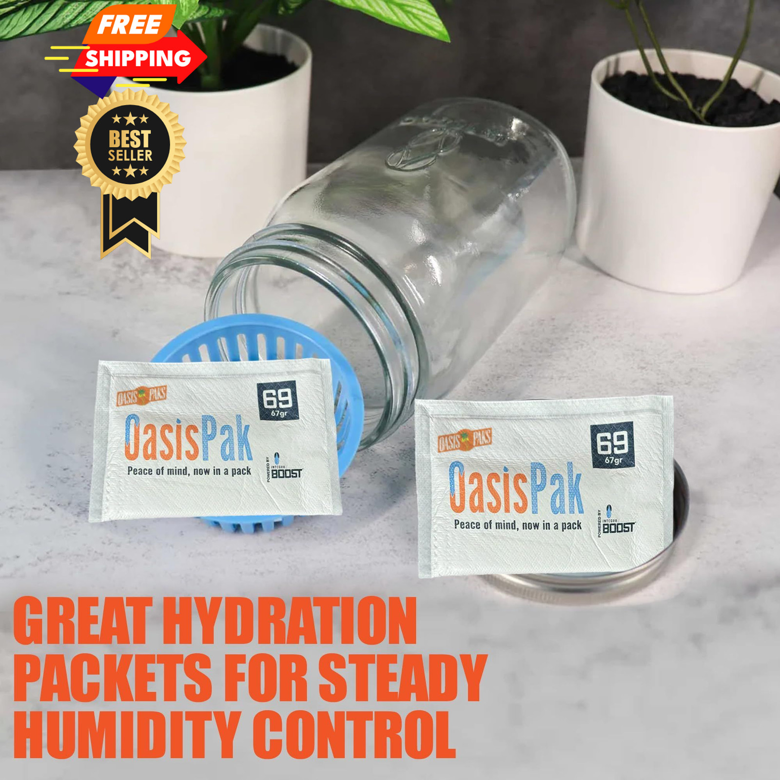 OasisPak 69% RH Two-Way Humidity Control Packs (1 Pack) – 67 Gram 1 Pack