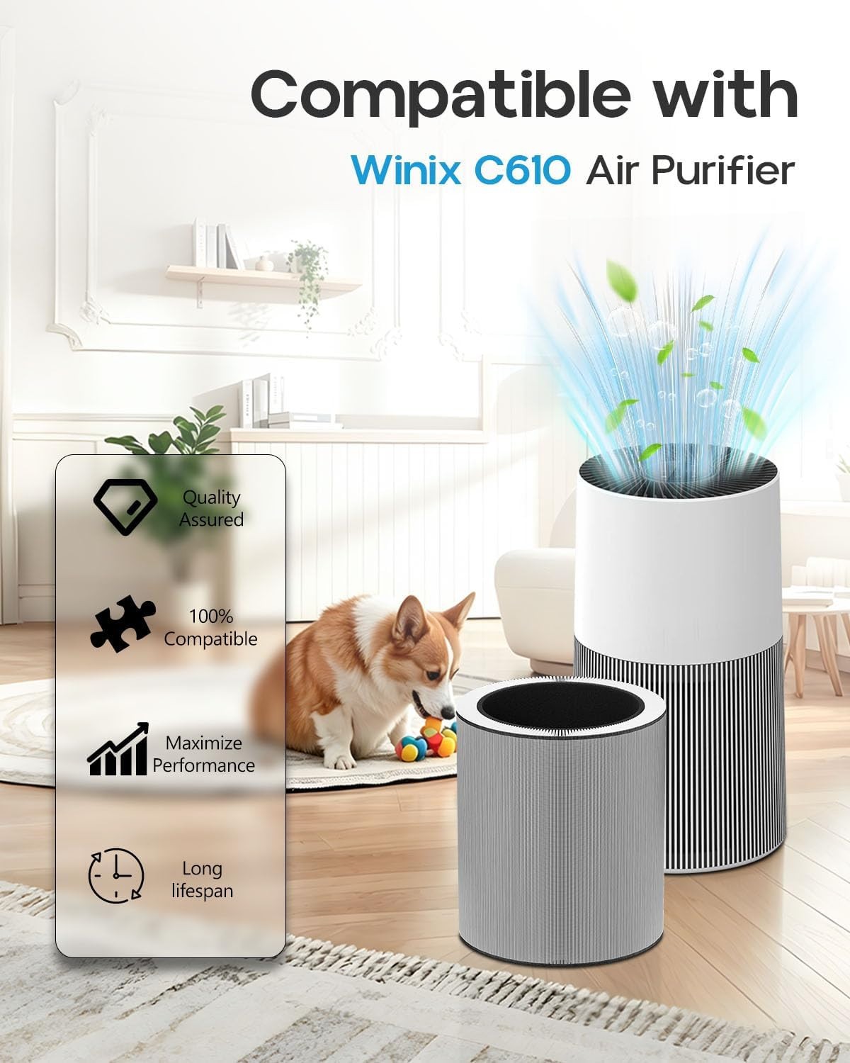 C610 Replacement Filter Z for Winix C610 1712-0121-00 3-in-1 True HEPA 2 Pack