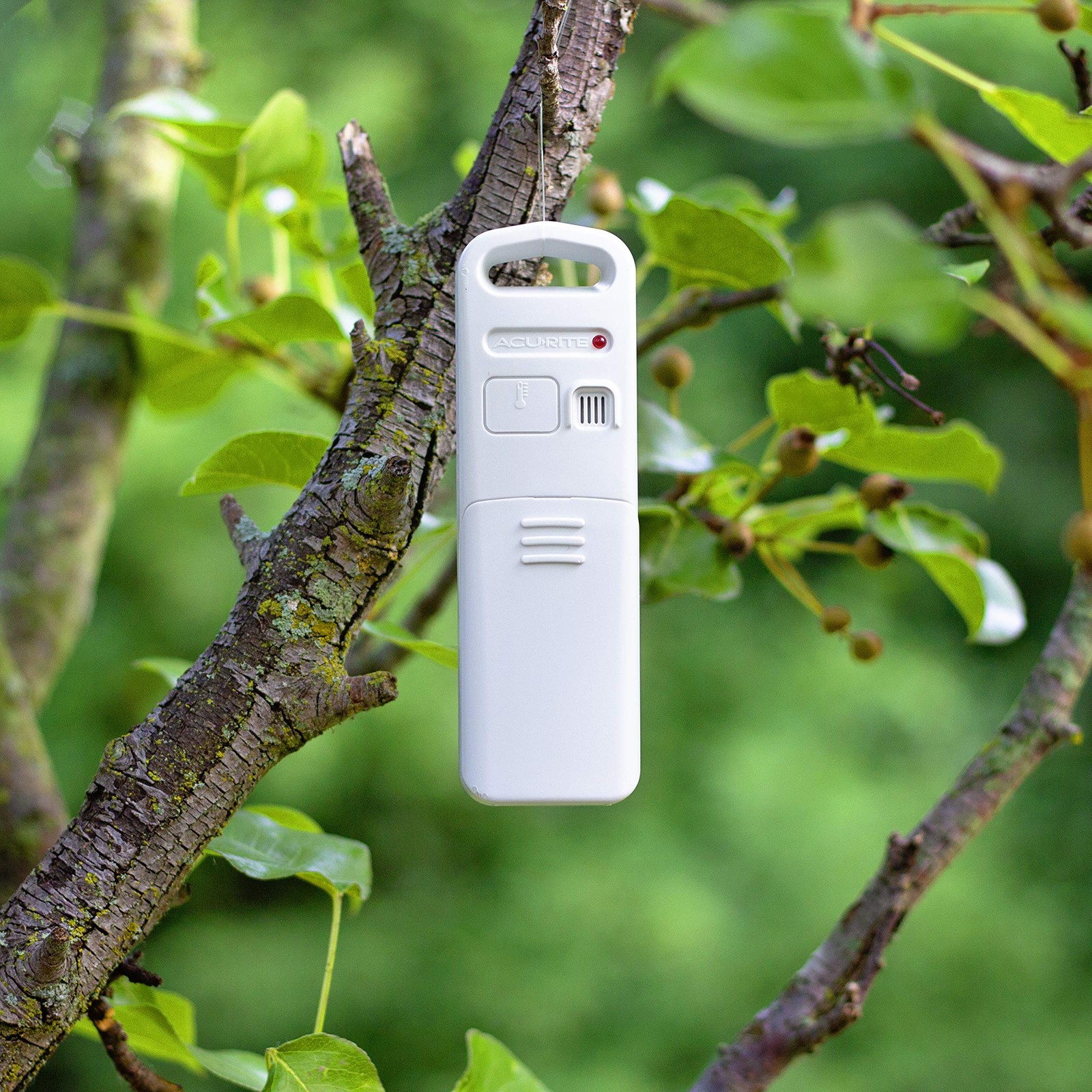AcuRite 01094M Temperature & Humidity Station with 3 Indoor/Outdoor WHITE