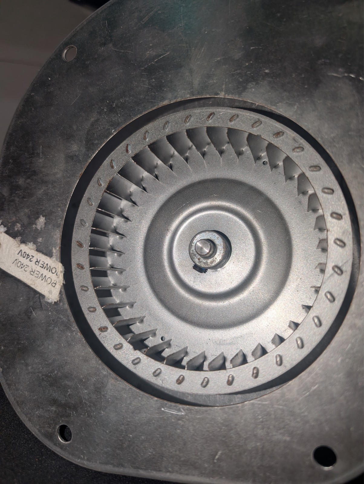 Fasco A241 Draft Inducer Blower, 230, Steel, 6 13/64 In W, 7 45/64 In H,