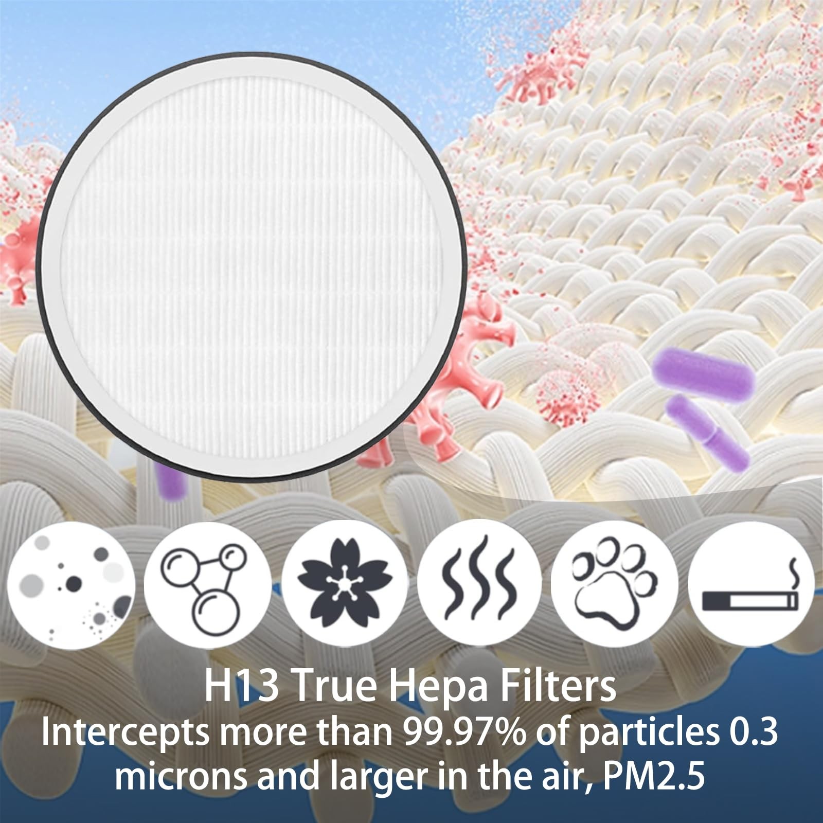 4 Pack PureZone Replacement Filter for Pure Enrichment 1 inch