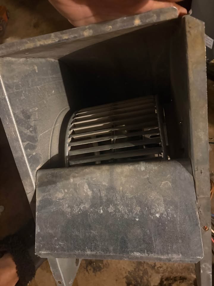 Trane furnace blower motor and fan
