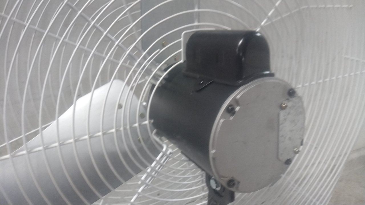 Dayton 484X59 1/2 HP 825 RPM 115VAC 36 In Blade Dia Guard-Mounted Exhaust Fan