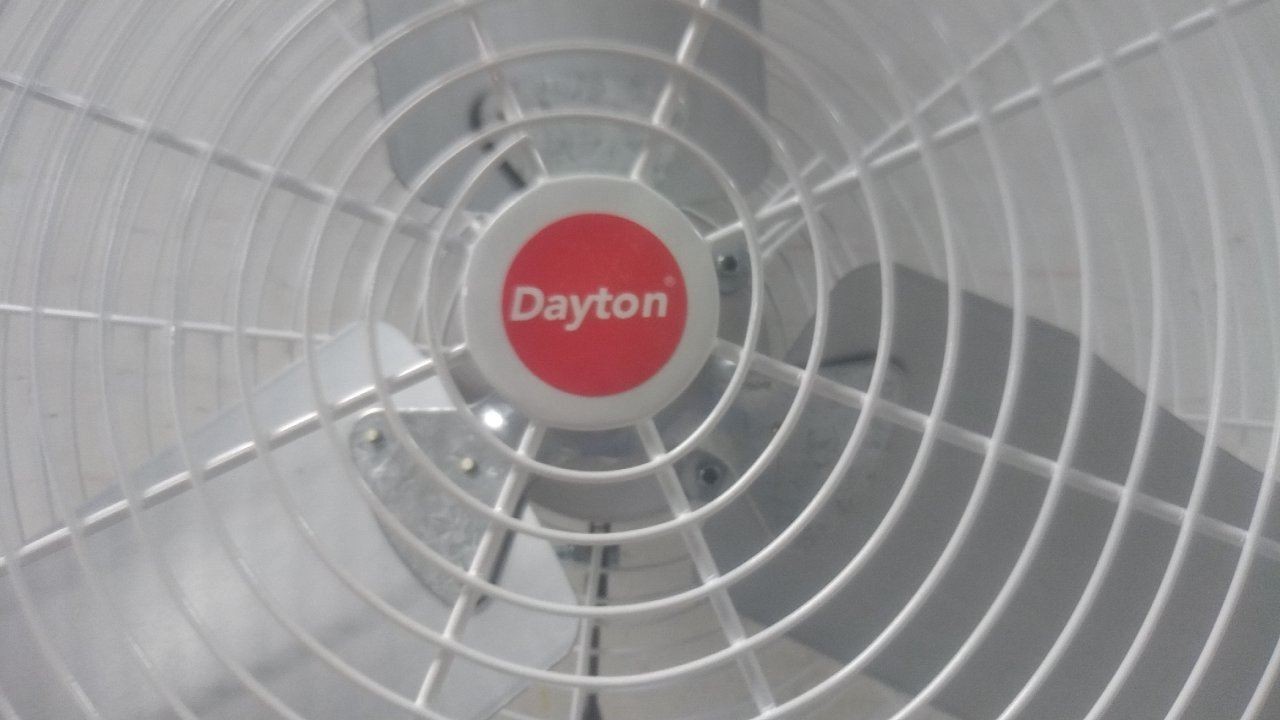 Dayton 484X59 1/2 HP 825 RPM 115VAC 36 In Blade Dia Guard-Mounted Exhaust Fan