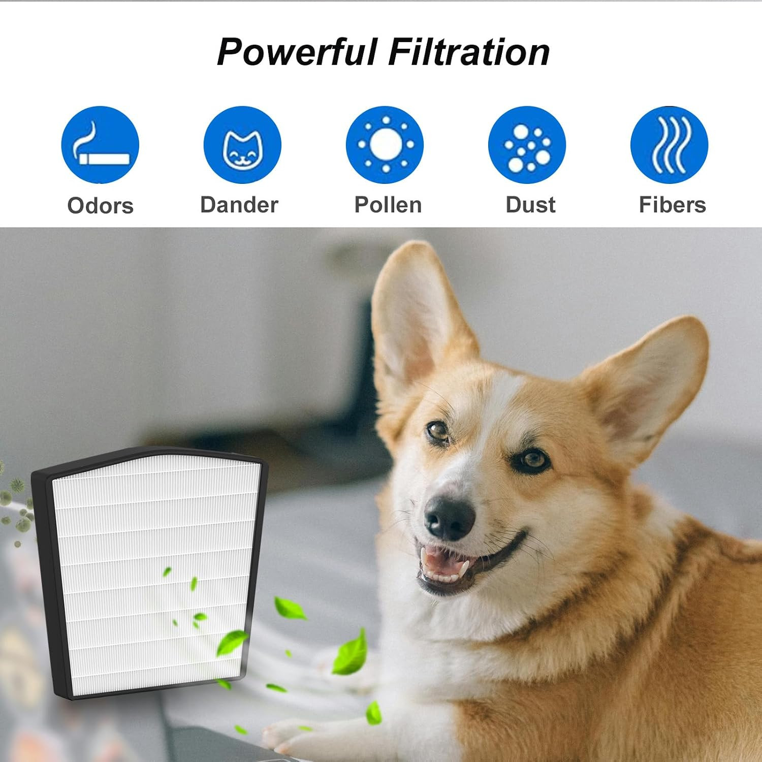 Replacement Filter LP-HF550P Compatible with Live-Pure Bali Series LP550TH LP550