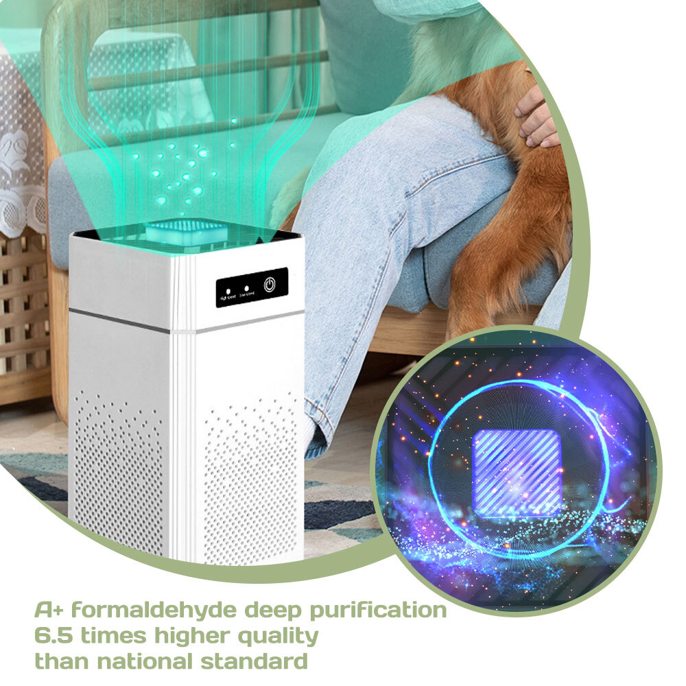 Air Purifier Freshener Cleaner Odor Pet Dander Dust Eliminator for Large Room US