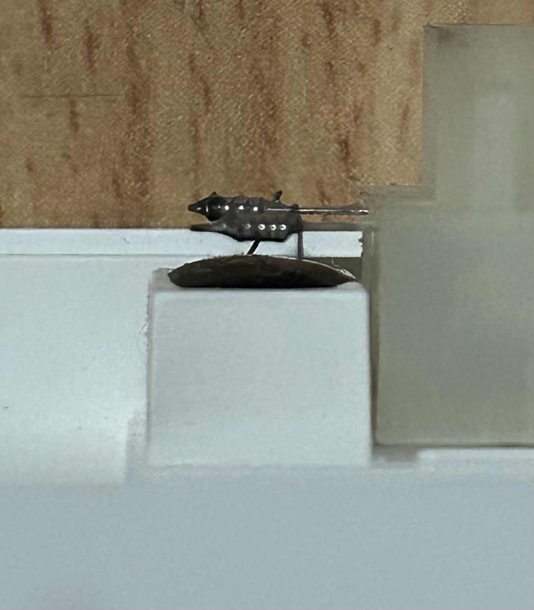 Honeywell TA1 Series Outdoor Temperature Sensor