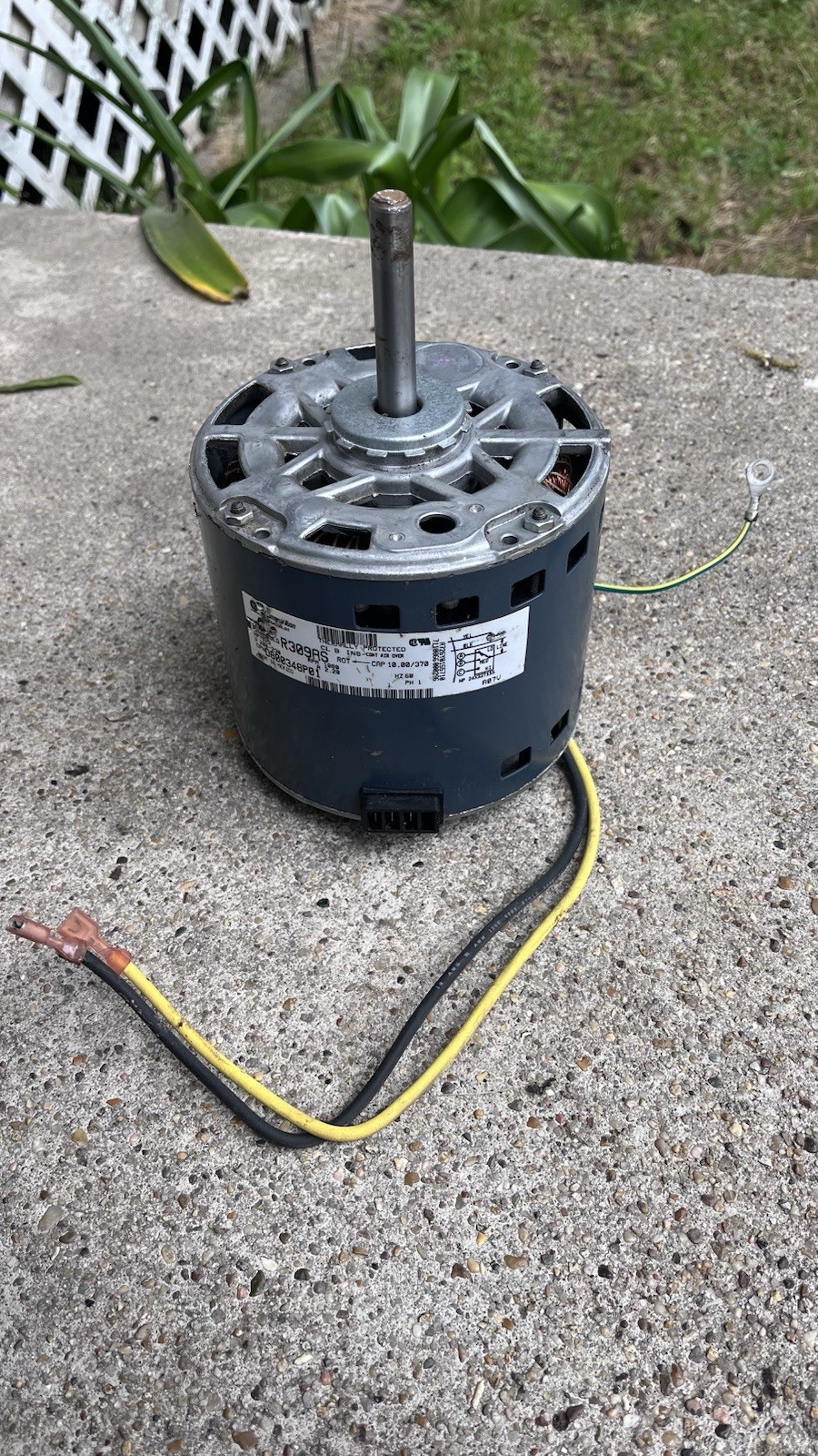 Trane 1/3 HP Blower Motor 5KCP39LGR309AS D800348P01 200-230V 1080 RPM CWSE