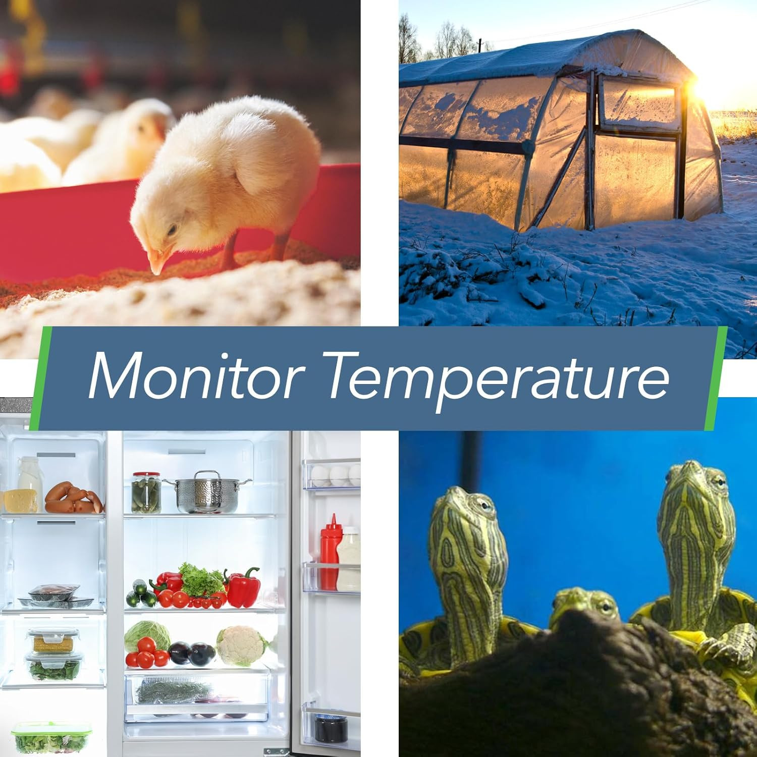 HT1 Smart Temperature Sensor & Humidity Sensor – Thermometer & Hygrometer W/App