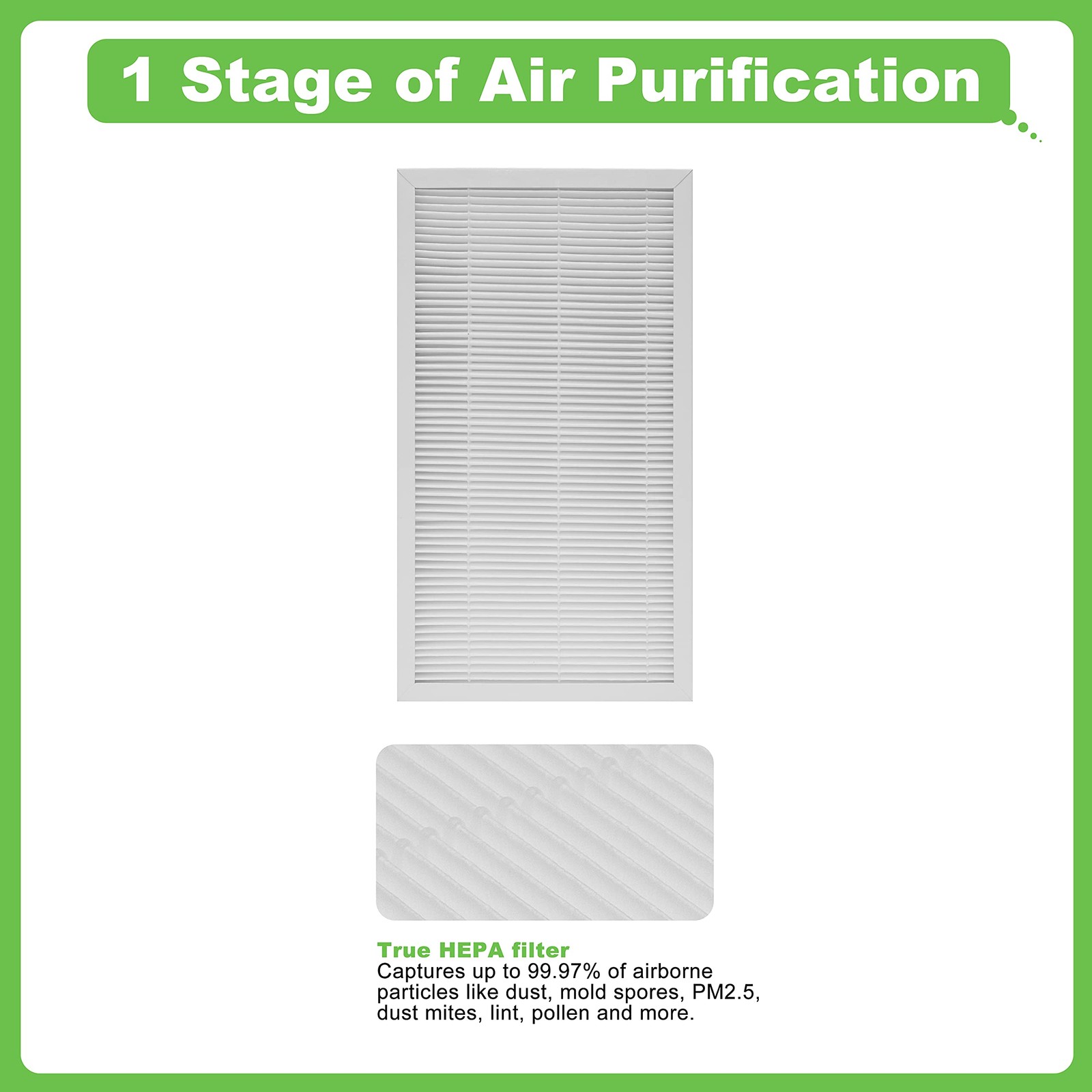 Hichoryer F1 Filter Allergen Reduction, Replacement 2 Count (Pack of 1)