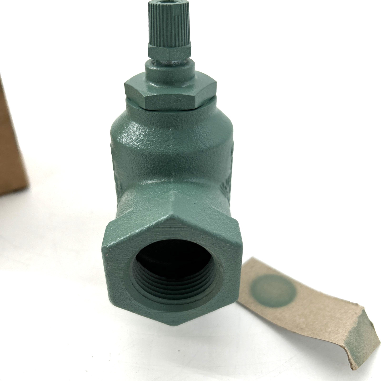 Taco 220-6 1 Flo-Chek 1 in. Cast Iron NPT Check Valve Threaded Body