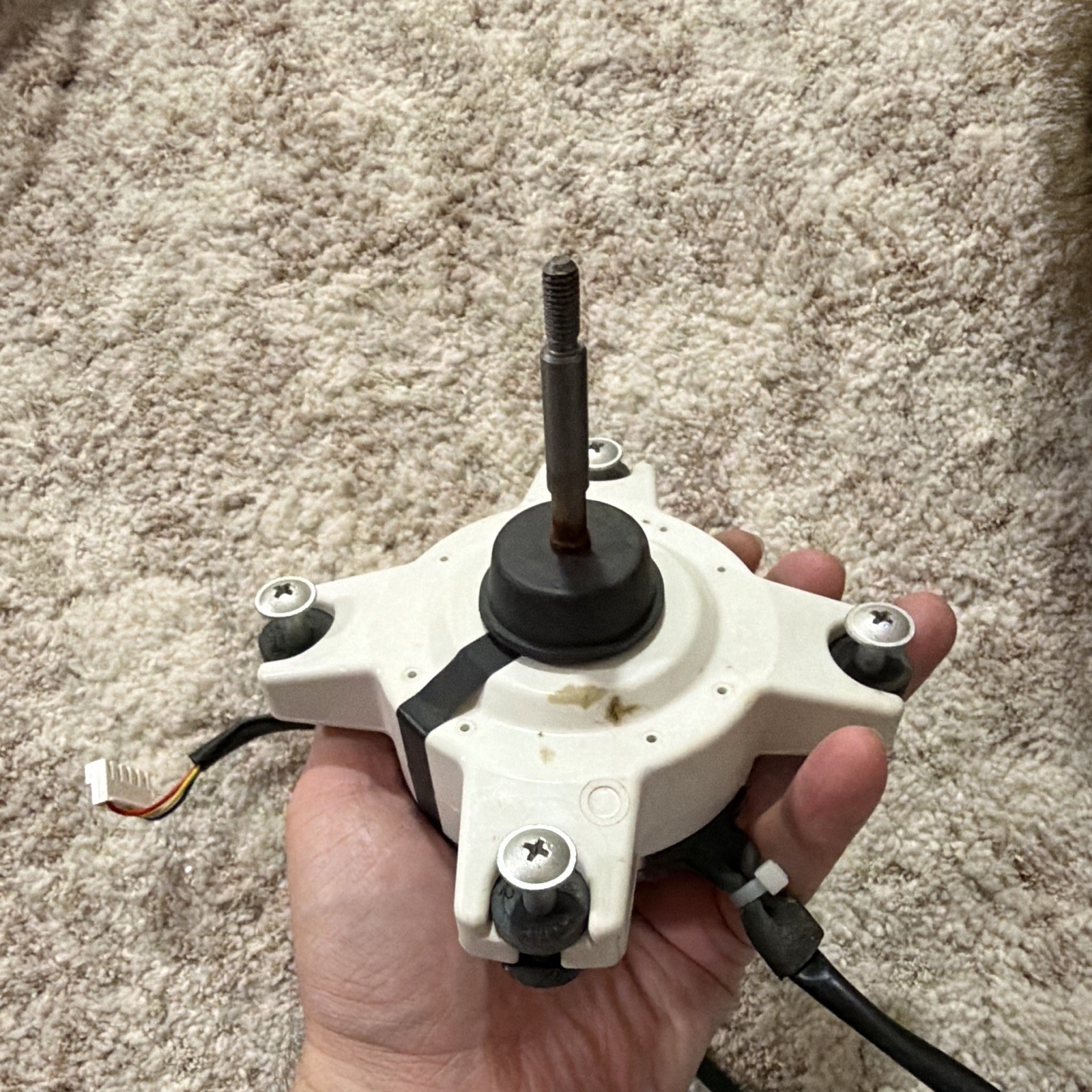 GUANGDONG WILLING Brushless DC Motor ZKFN-25-10-SL-5 25V 0.12A IP24