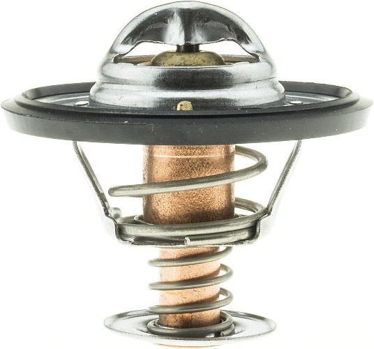 265-160 Thermostat with Seal, silver