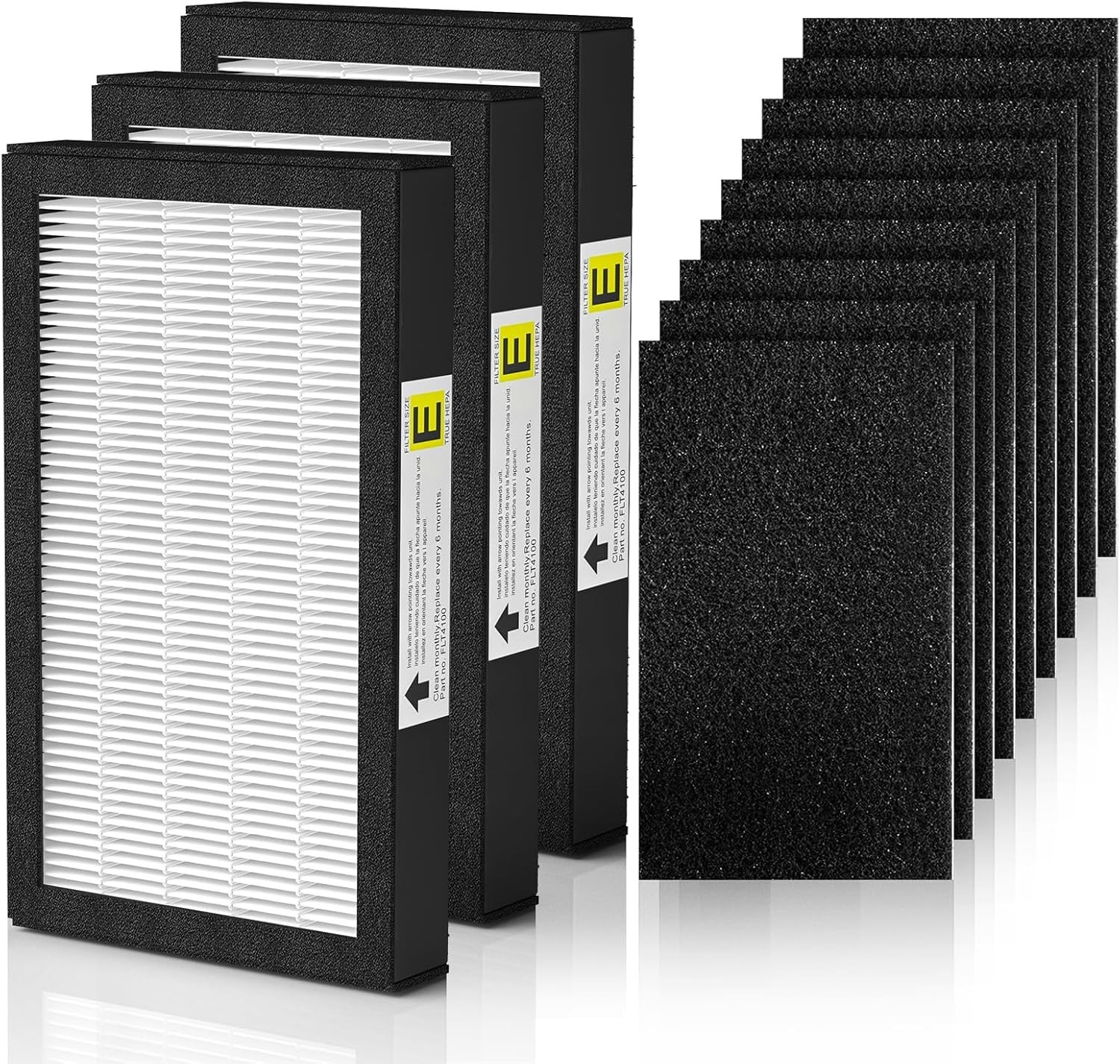 FLT4100 True HEPA Replacement Filter Size E for Guardian 12 Piece Set, White