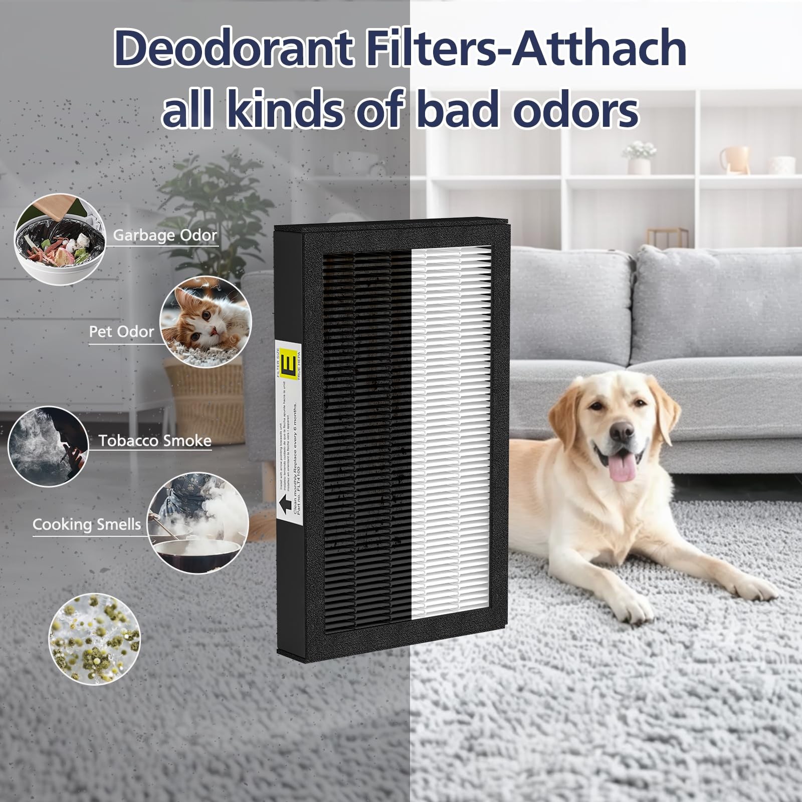 FLT4100 True HEPA Replacement Filter Size E for Guardian 12 Piece Set, White