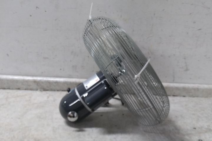 Dayton 1VCF2 1/4 HP 1100/850 RPM 115VAC 20 In Blade Standard-Duty Industrial Fan