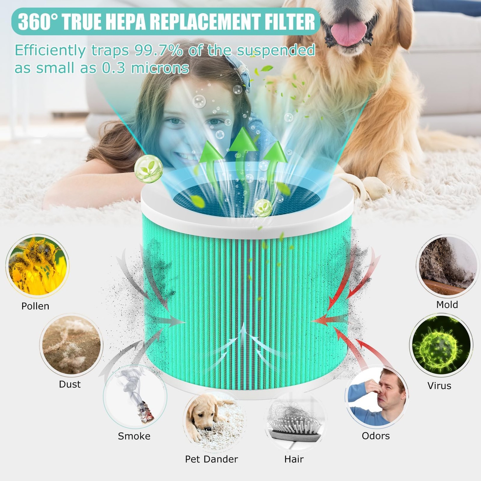 HY1800 H13 True HEPA Replacement Filter Compatible with Green