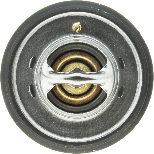 265-160 Thermostat with Seal, silver
