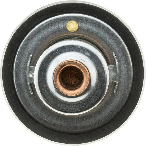 265-160 Thermostat with Seal, silver